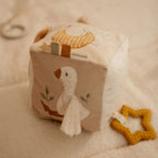Cubo de Actividades