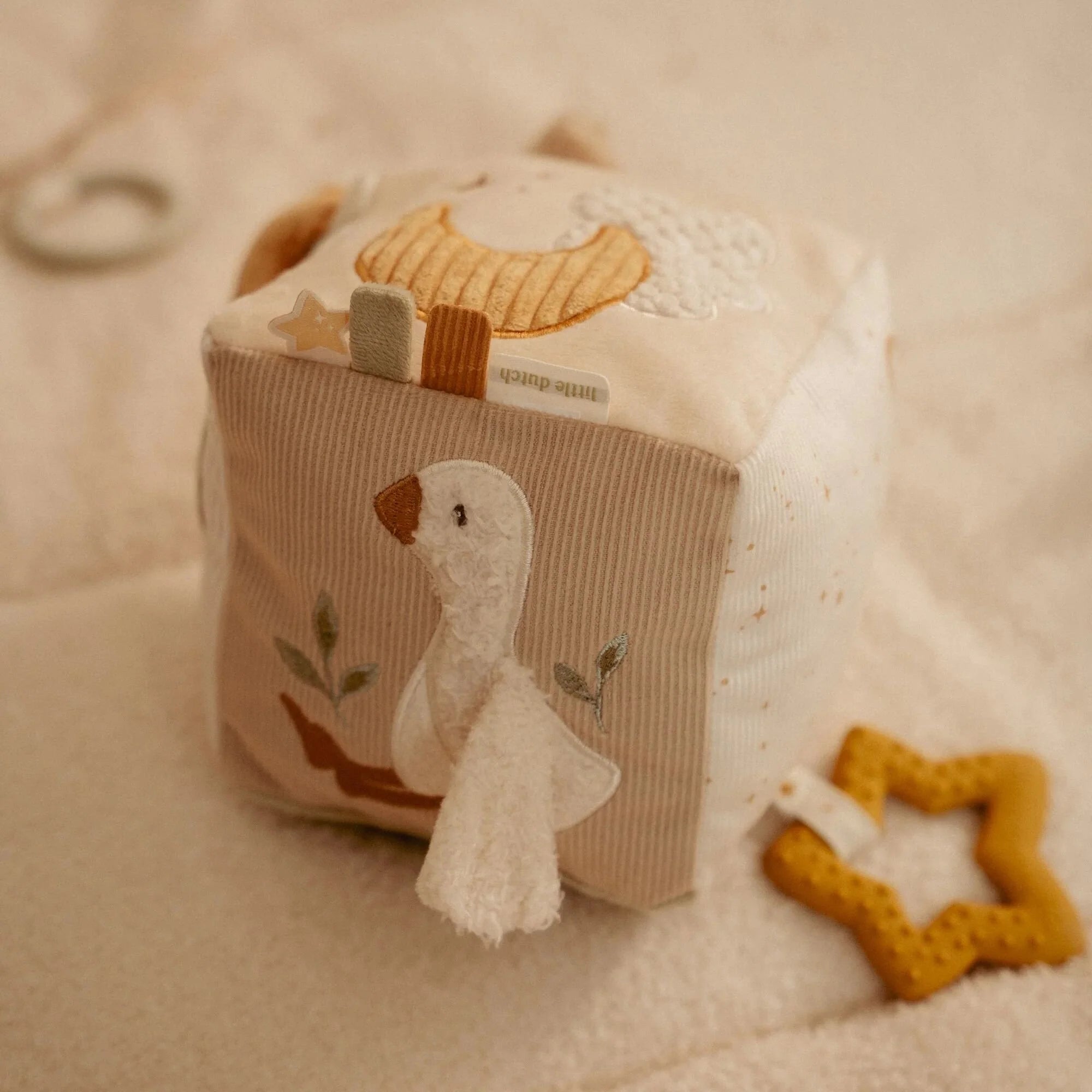 Cubo de Actividades