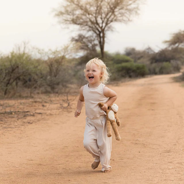 Monito Safari friends