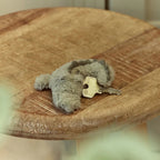 Charm cocodrilo Safari Friends