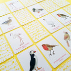 Juego de memoria - Un par de aves