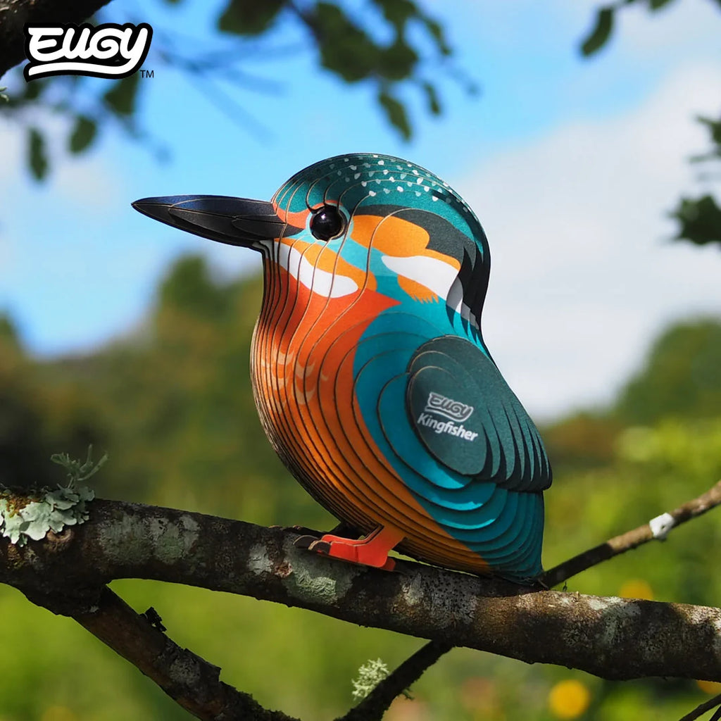 Eugy 121 Martín Pescador
