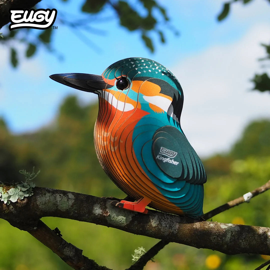Eugy 121 Martín Pescador