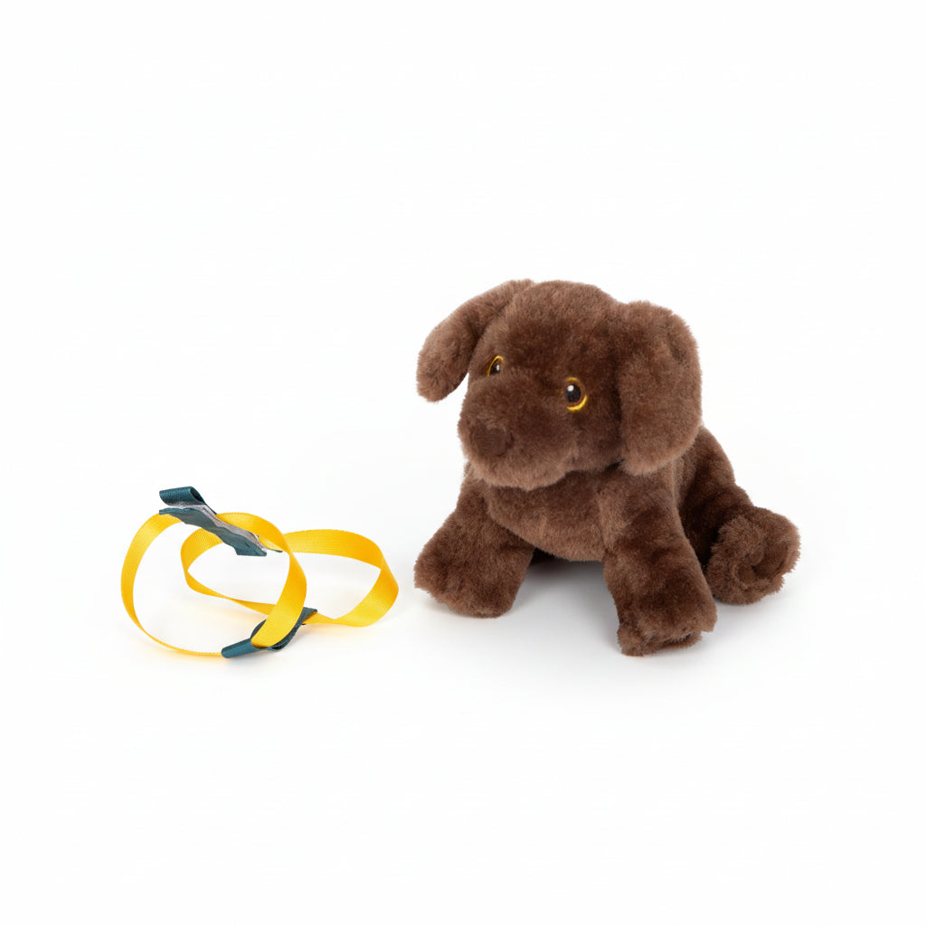 Perro con transportín y set de cuidados