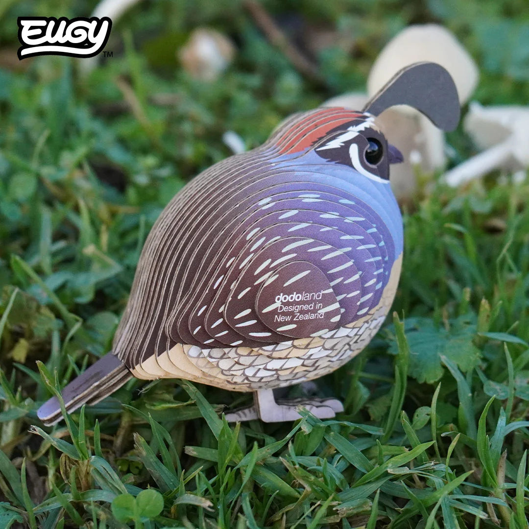 Eugy 129 Codorniz