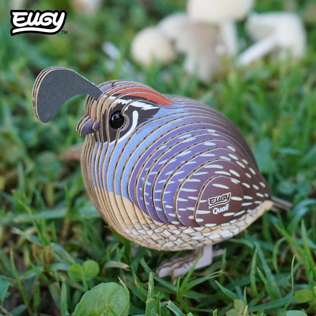 Eugy 129 Codorniz