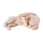 Conejito durmiente de peluche, Pequeño - Empolvado