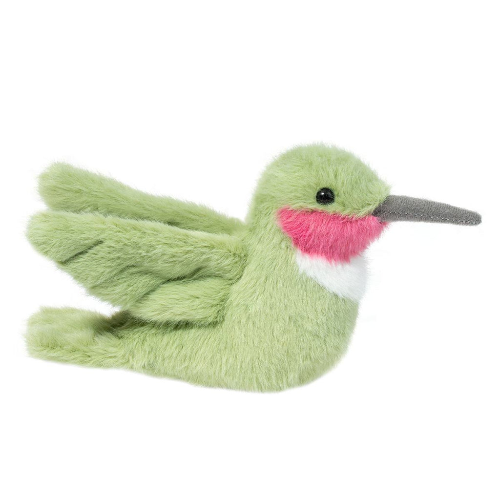 Nectar Hummungbird