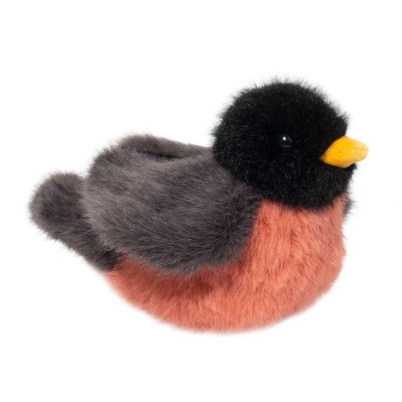 Melody Robin Bird