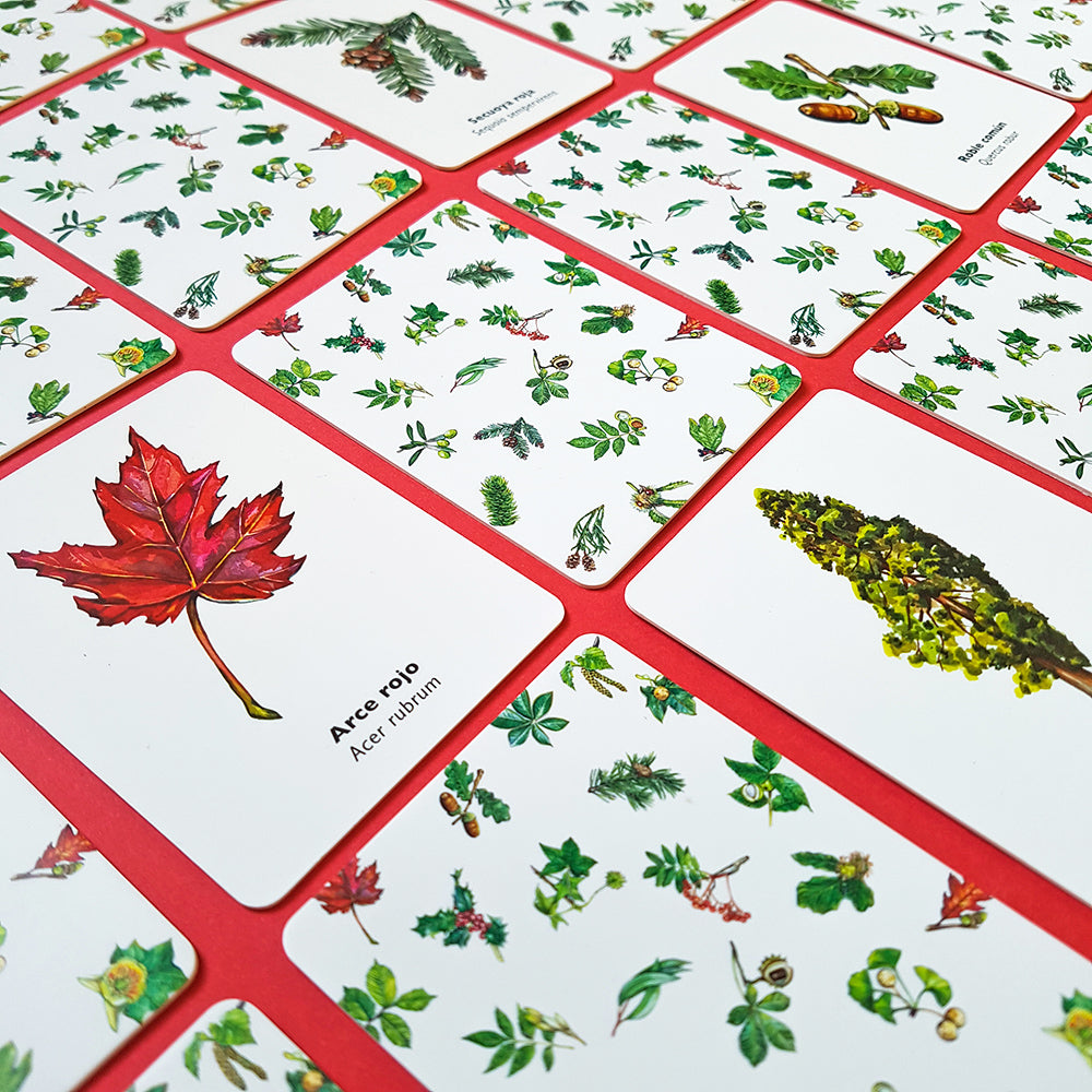 Juego de memoria - Encuentra la hoja