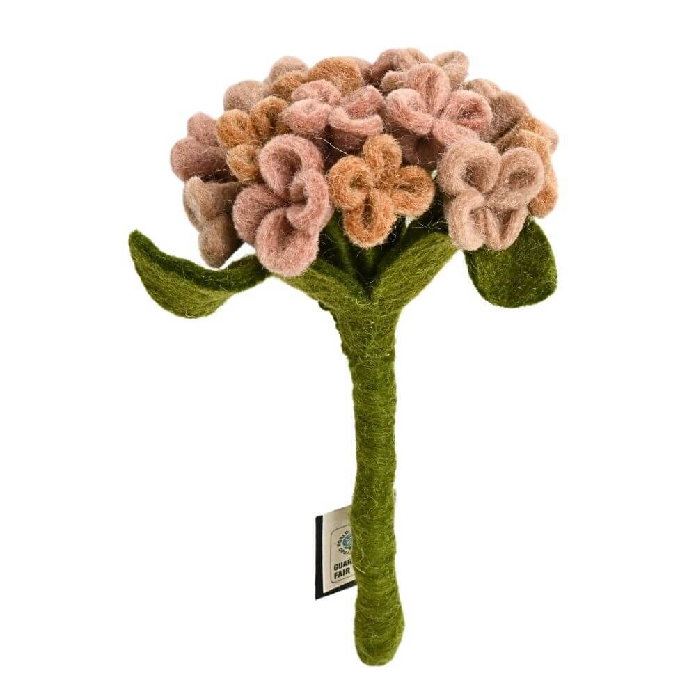 Hortensia - Rosa palo