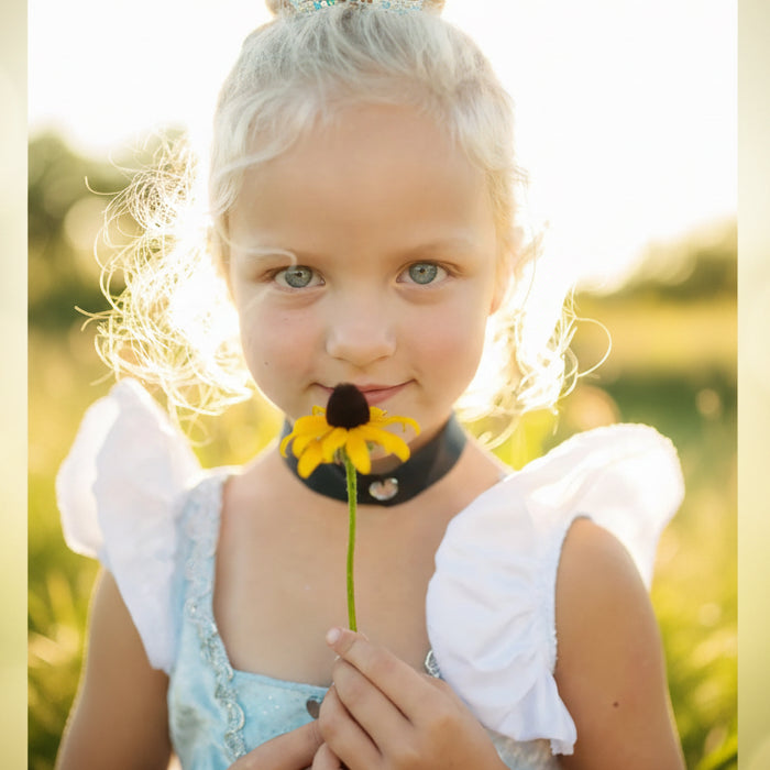 Fairytale Princess Blue