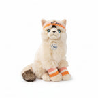 Dolly el gato Ragdoll
