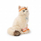 Dolly el gato Ragdoll