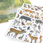 Juego Magnético Bosque