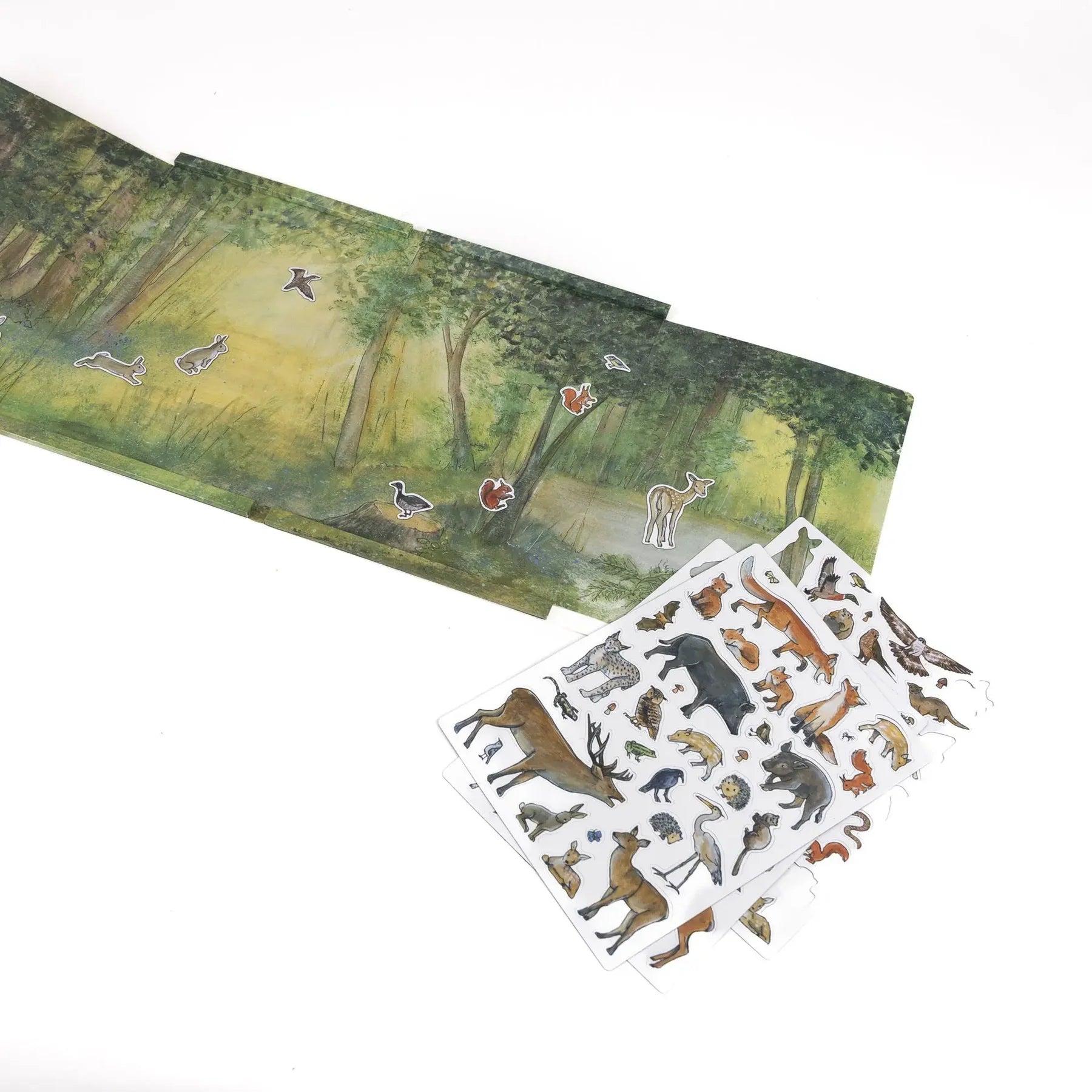 Juego Magnético Bosque