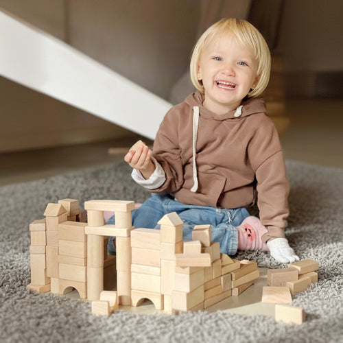 Bloques de construcción 100pcs