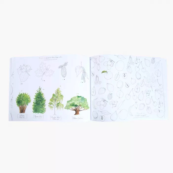 Cuaderno actividades Dans mon jardin