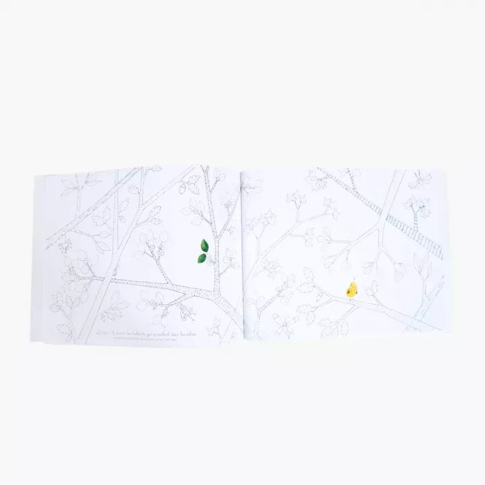 Cuaderno actividades Dans mon jardin