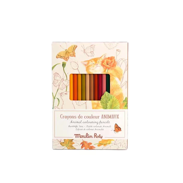 Lápices de colores + tarjetas animales