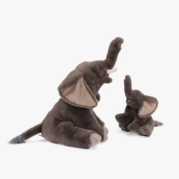 Elefante Tout autour du monde