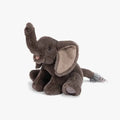 Elefante Tout autour du monde