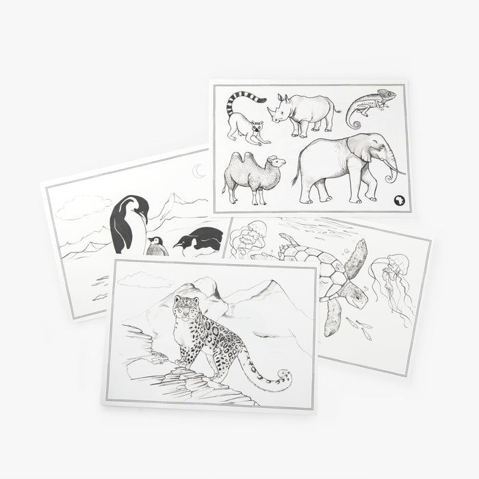 Plantillas para K-DRAW PRO