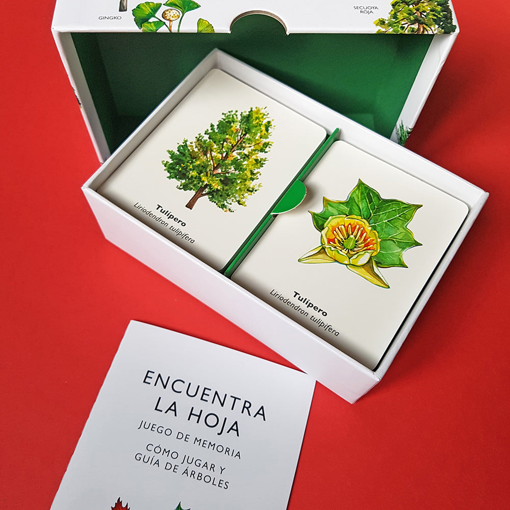 Juego de memoria - Encuentra la hoja
