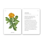 Fíjate: Flores Silvestres