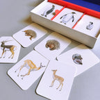 Juego de memoria - Familias animales