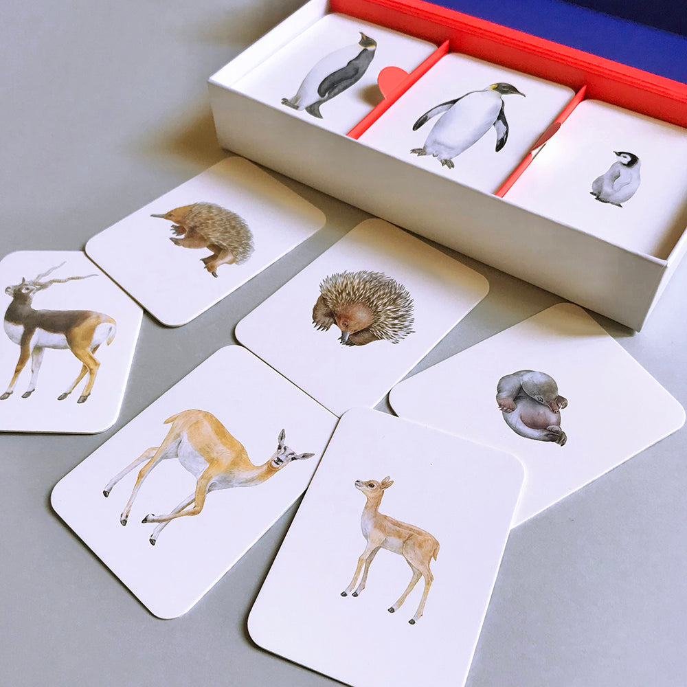 Juego de memoria - Familias animales