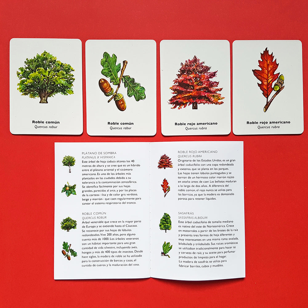 Juego de memoria - Encuentra la hoja