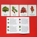 Juego de memoria - Encuentra la hoja