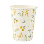 Vasos de Cartón Mimosa