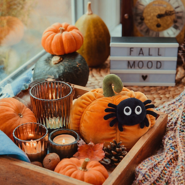 Calabaza con araña