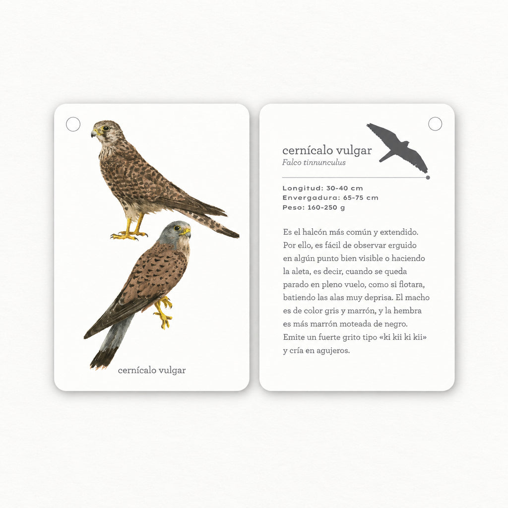 Fíjate: aves