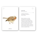 Fíjate: Pájaros
