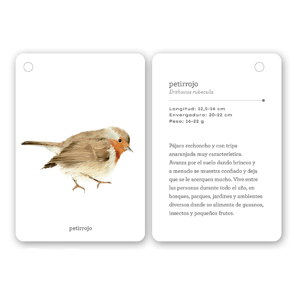 Fíjate: Pájaros