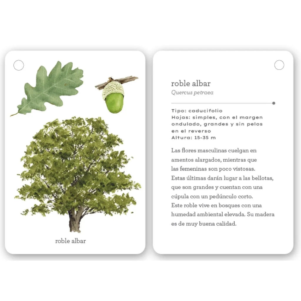 Fíjate: Árboles