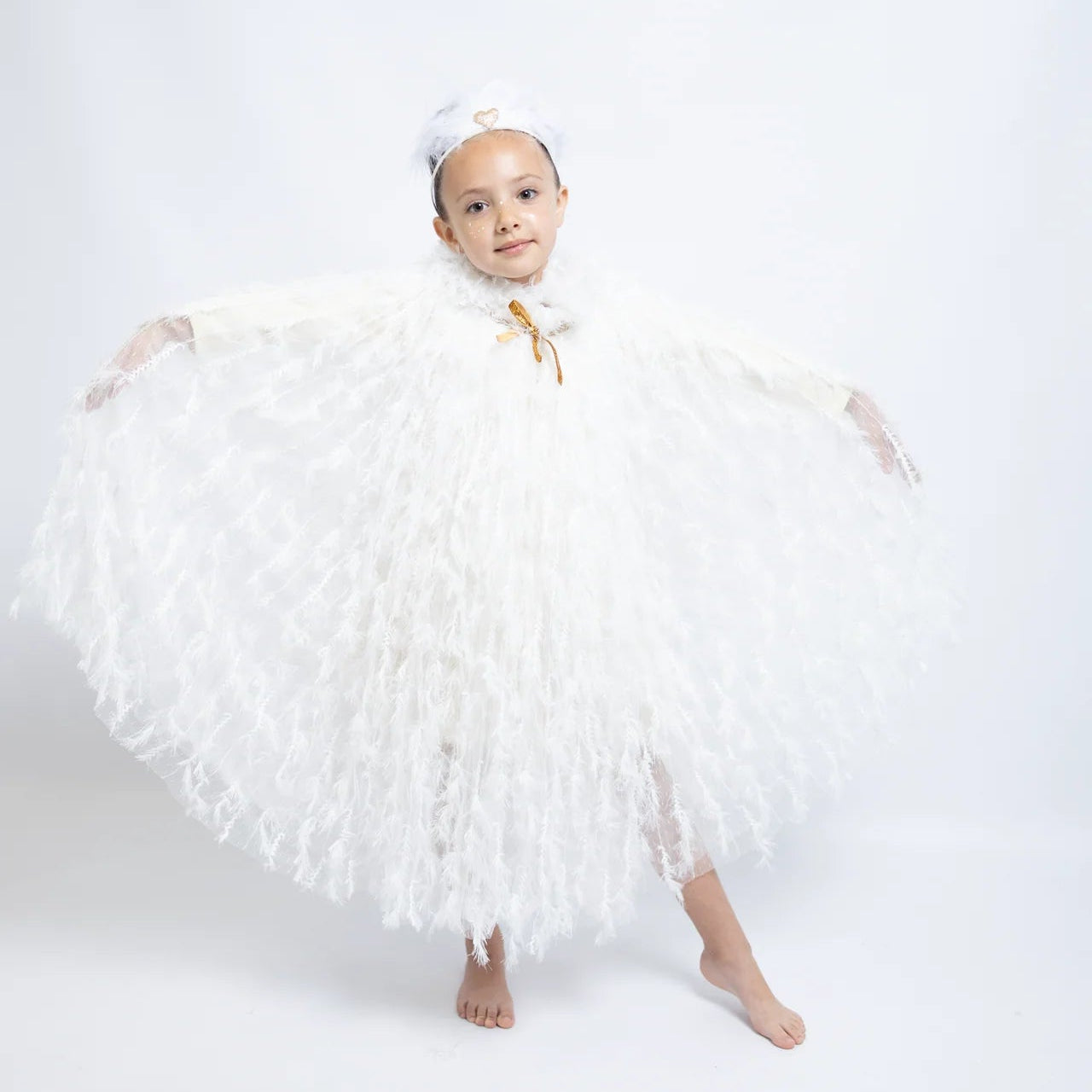 Capa de cisne