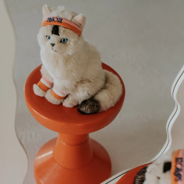 Dolly el gato Ragdoll