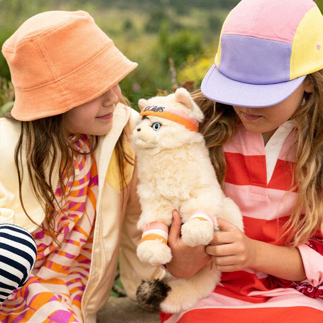 Dolly el gato Ragdoll