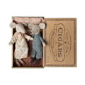 Pareja de abuelos ratones en caja de puros