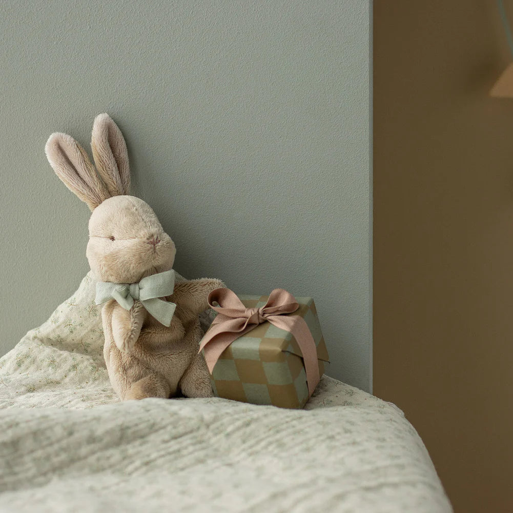 My first bunny - Menta