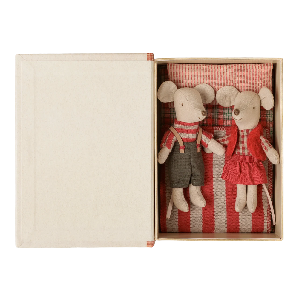 Ratones gemelos navideños en libro