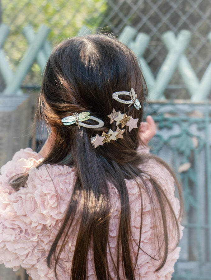 Clips Shimmer Dragonfly