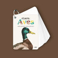 Fíjate: aves