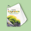 Fíjate: líquenes y plantas inferiores
