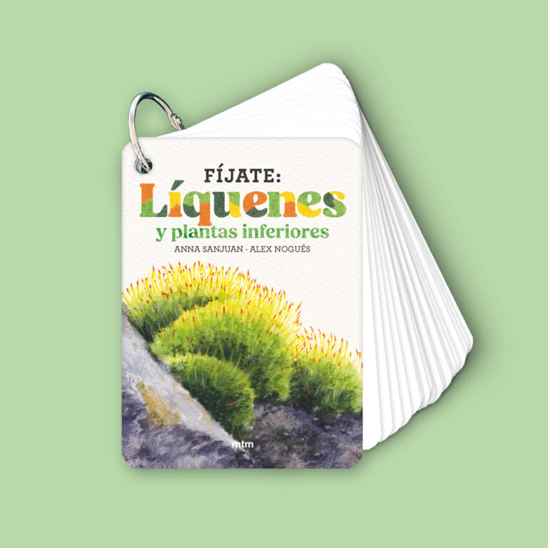 Fíjate: líquenes y plantas inferiores