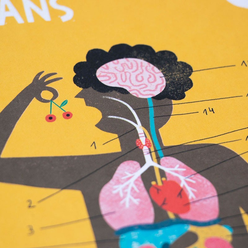 Inside me - Learn &fun